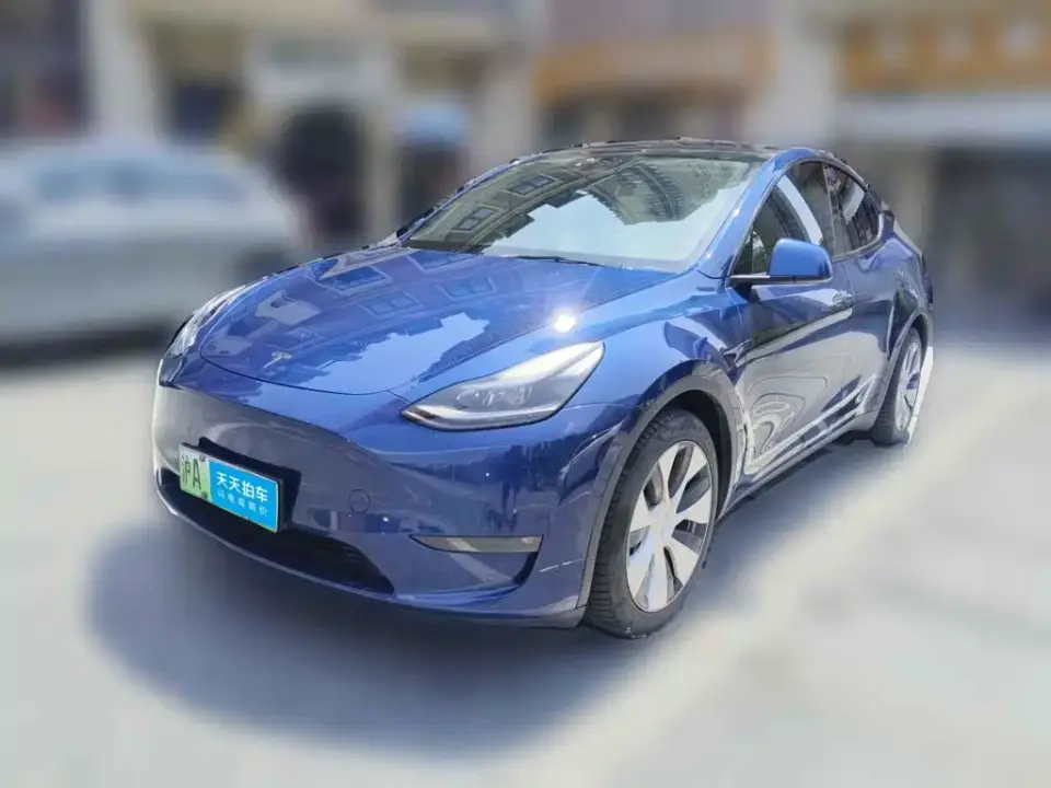 Tesla Model Y Model Long Range AWD 2021