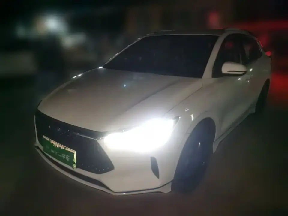 BYD e2 Upgraded Long Range Luxury 2020