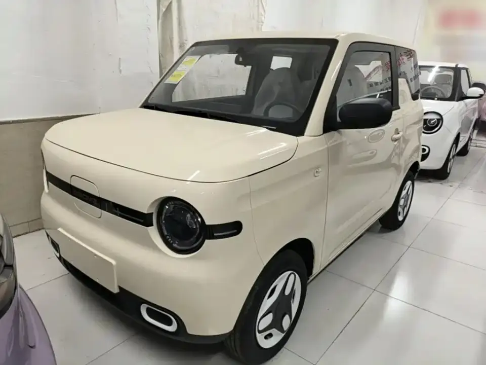 Geely Galaxy Panda Panda mini 210km Vitality Bear 2026