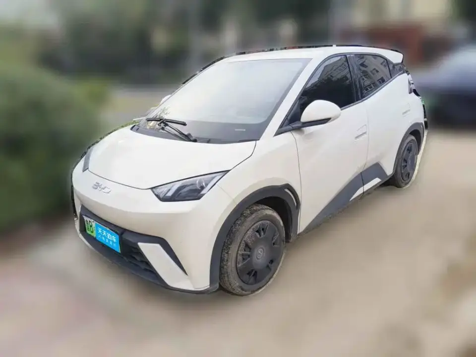 BYD Seagull 305km Vitality 2024