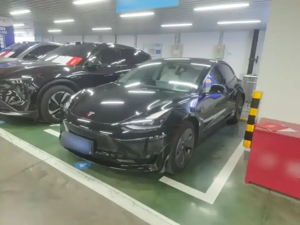 Tesla Model 3 Standard Range Rear-Wheel Drive Upgrade 3D6 2021