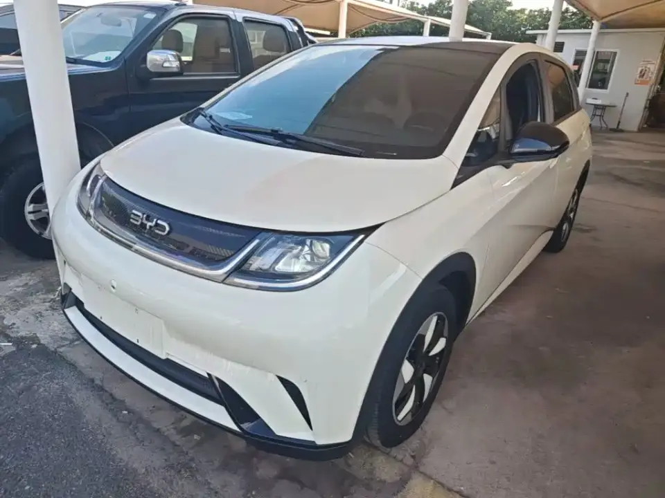 BYD Dolphin 420km Fashion Edition 2024