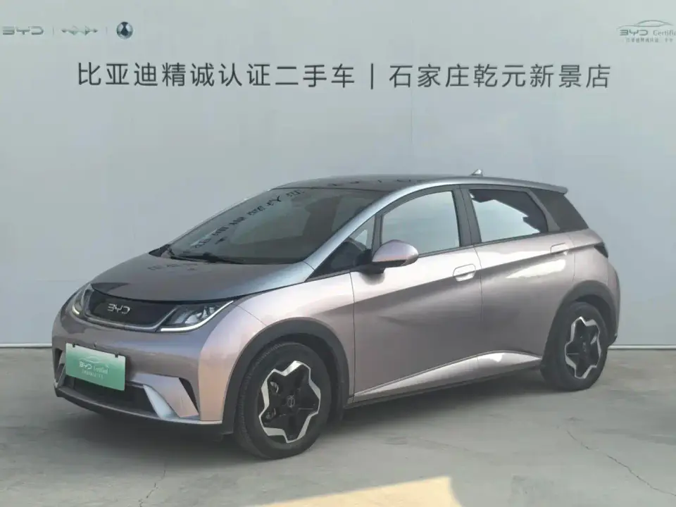 BYD Dolphin Model 405km Fashion Edition 2022