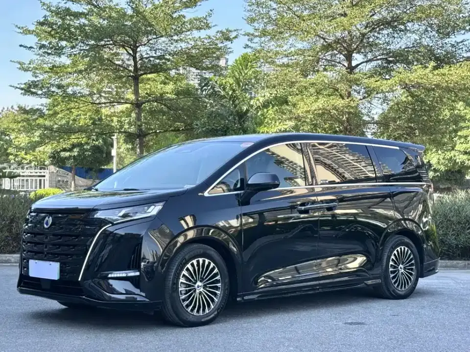 Denza D9 DM-i 980 AWD Flagship 2024