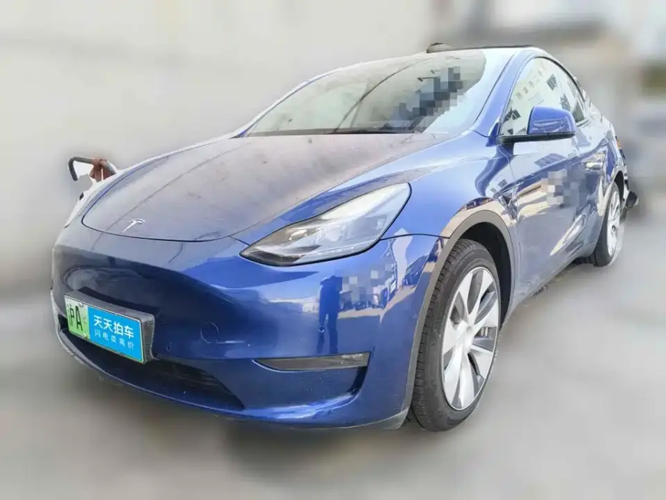 Tesla Model Y Standard Range Rear-Wheel Drive 2021