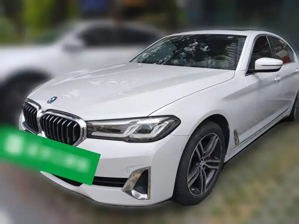 BMW 5 Series 530Li Leading Luxury Package 2021