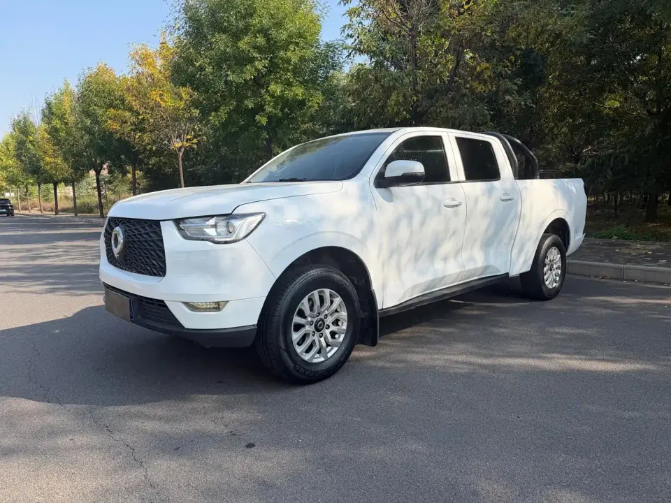 Great Wall Pao 2.0T Commercial Version Manual Diesel 2WD Pilot Long Box GW4D20M 2021