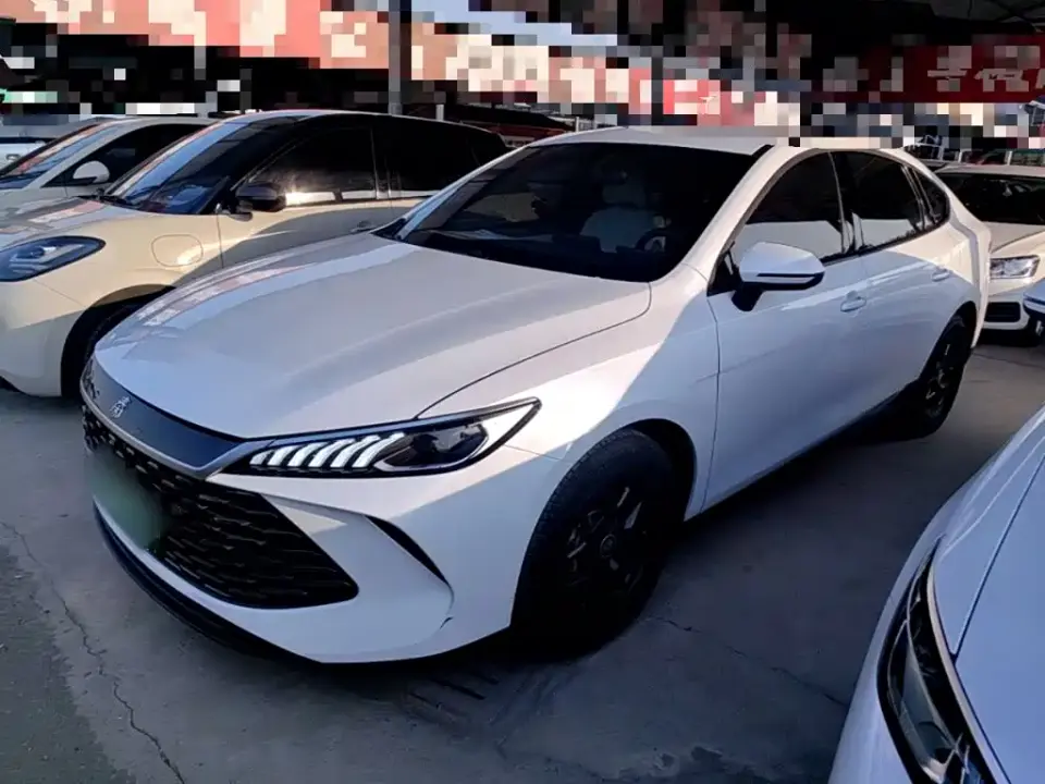 BYD Qin PLUS DM-i Smart Drive 55KM Leader 2025