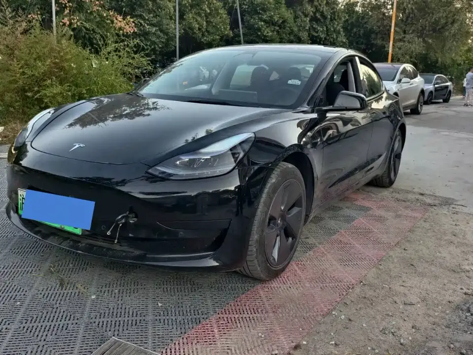 Tesla Model 3 Model Rear-Wheel Drive Version 2022