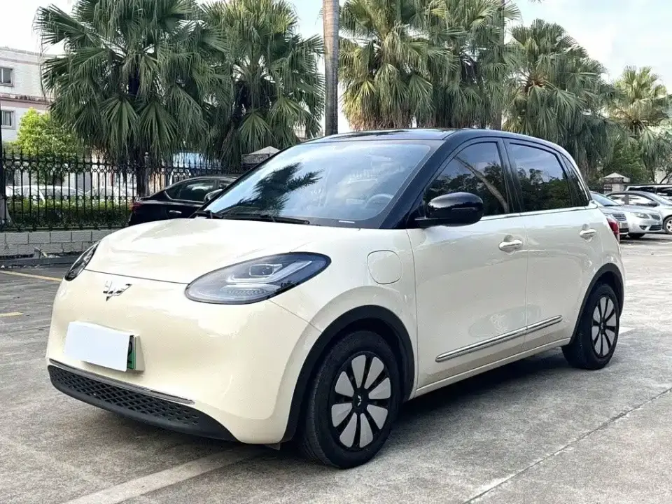 Wuling Motors Wuling Bingo Model 333km Smart Connect 2025