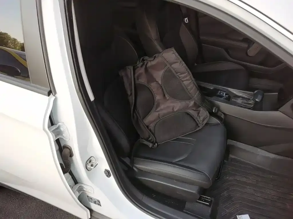 Dongfeng Aeolus Yixuan 1.5L Auto Luxury 2025 — фото 25