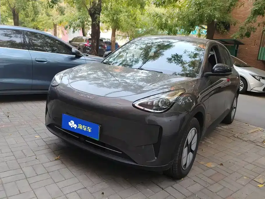 Geely Galaxy Starry Wish 310km Youth Edition 2025