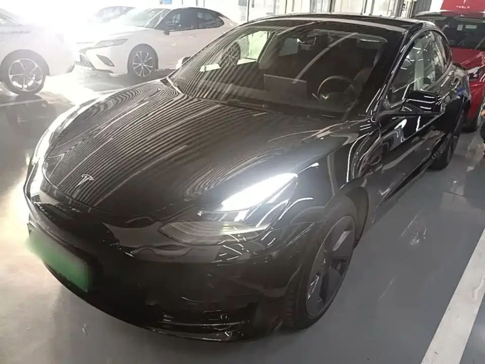 Tesla Model 3 Model Rear-Wheel Drive Version 2022