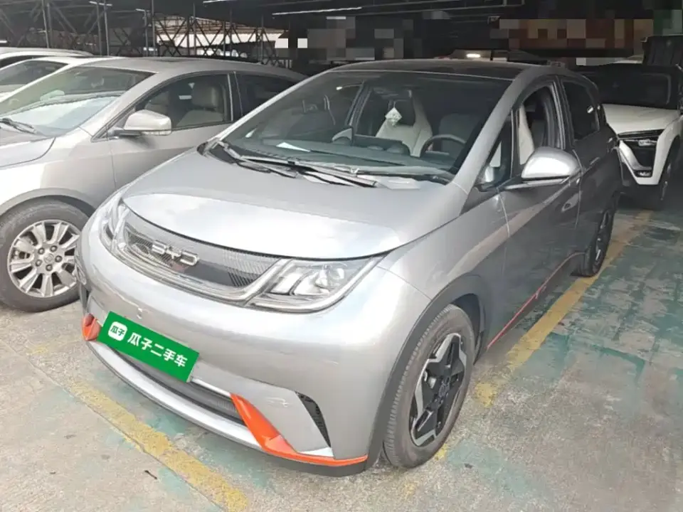 BYD Dolphin Model 405km Fashion Edition 2023