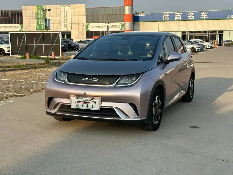 BYD Dolphin Model 405km Fashion Edition 2022