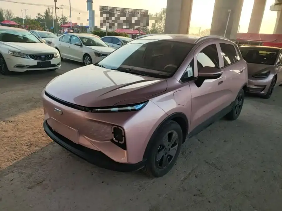 Geely Geometry E Firefly Model 301km Starlight 2024