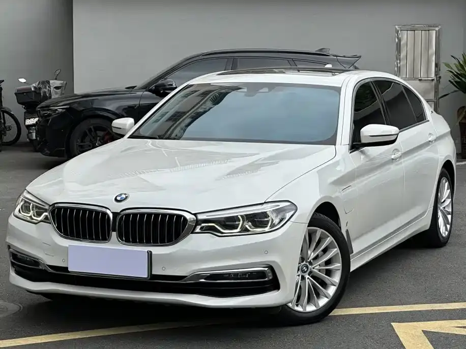 BMW 5 Series New Energy Facelift 530Le Luxury Package 2019
