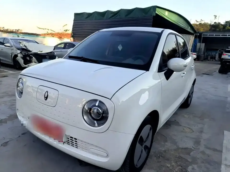 ORA Black Cat 301km Cute Edition LFP 2023