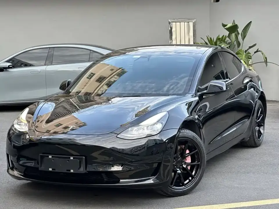Tesla Model 3 Standard Range Rear-Wheel Drive Upgrade 2021