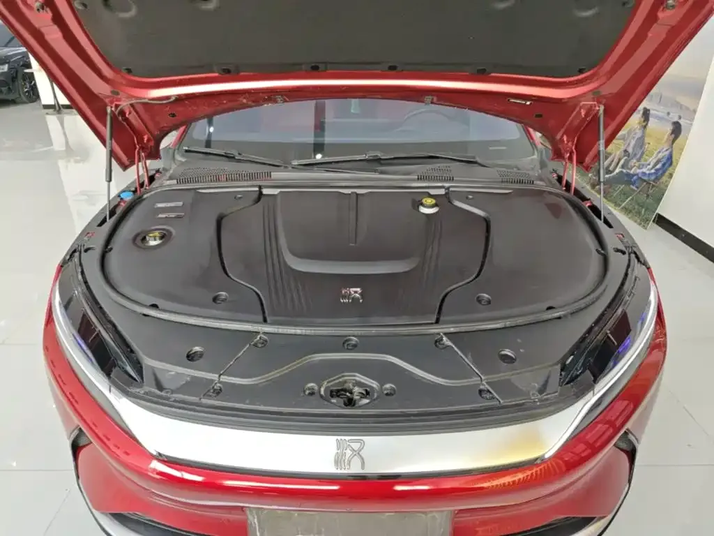 BYD Han EV AWD High-Performance Flagship 2021 — фото 20