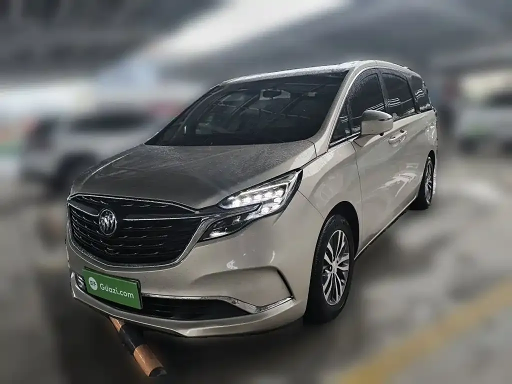Buick GL8 ES Landmark 653T Comfort 2022
