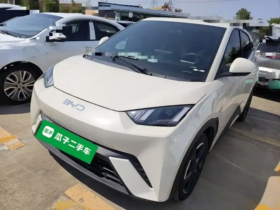 BYD Seagull Glory Edition 405km Soaring Edition 2024