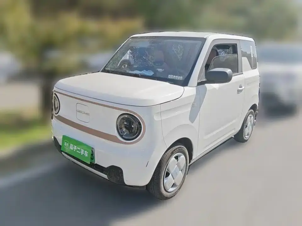 Geely Galaxy Panda Panda mini 200km Endurance Bear 2024