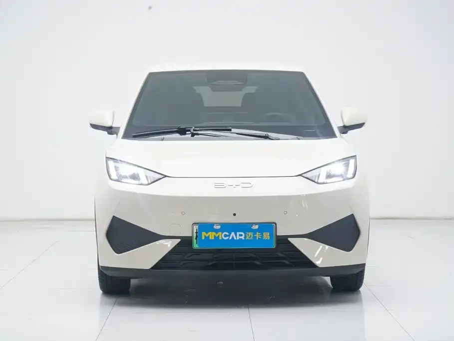 BYD Seagull 305km Freedom 2025