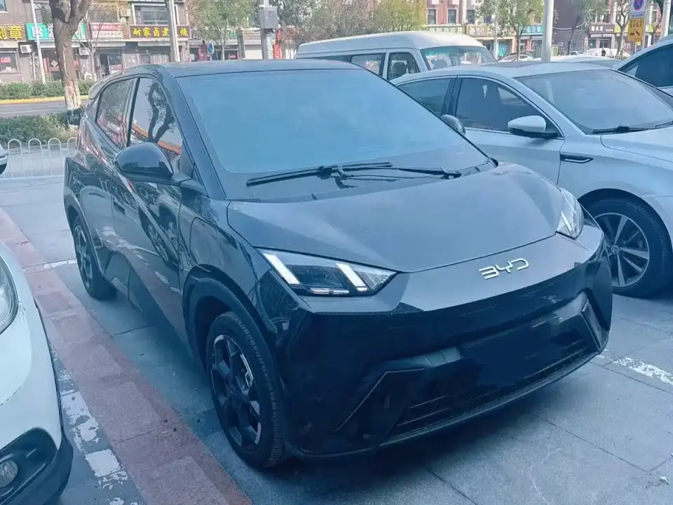 BYD Seagull Smart Driving Edition 405km Flying Edition 2025