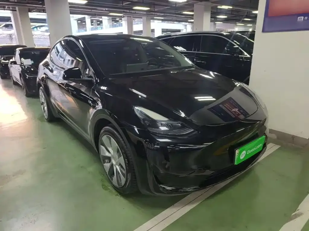 Tesla Model Y Rear-Wheel Drive Version 2022 — фото 4