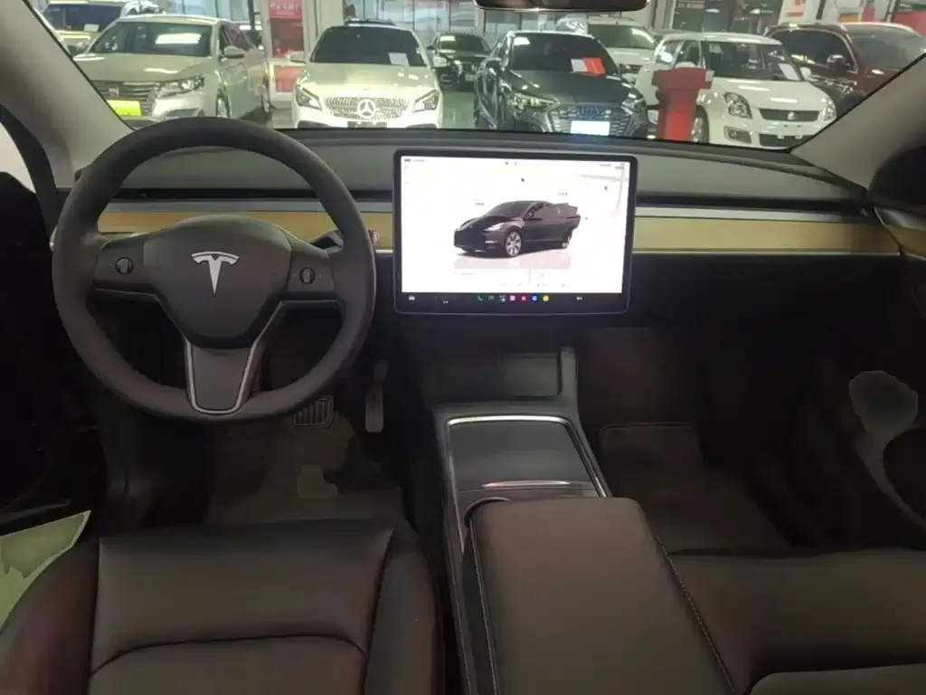 Tesla Model Y Rear-Wheel Drive Version 2022 — фото 10