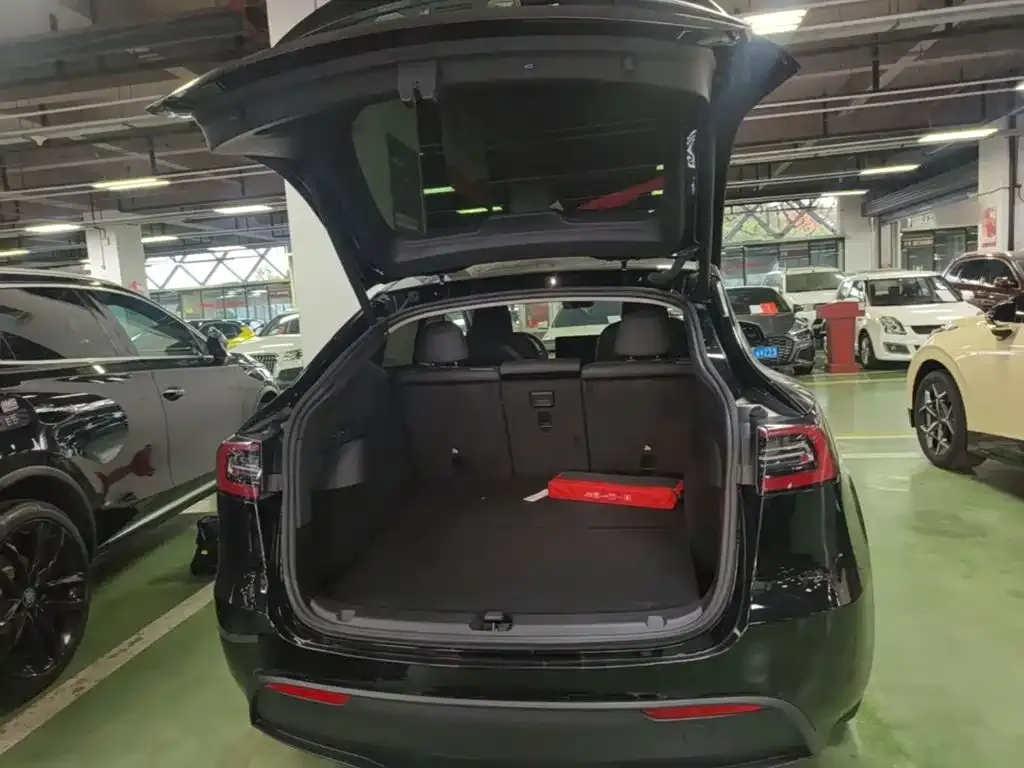 Tesla Model Y Rear-Wheel Drive Version 2022 — фото 19
