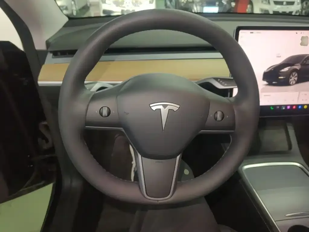 Tesla Model Y Rear-Wheel Drive Version 2022 — фото 11