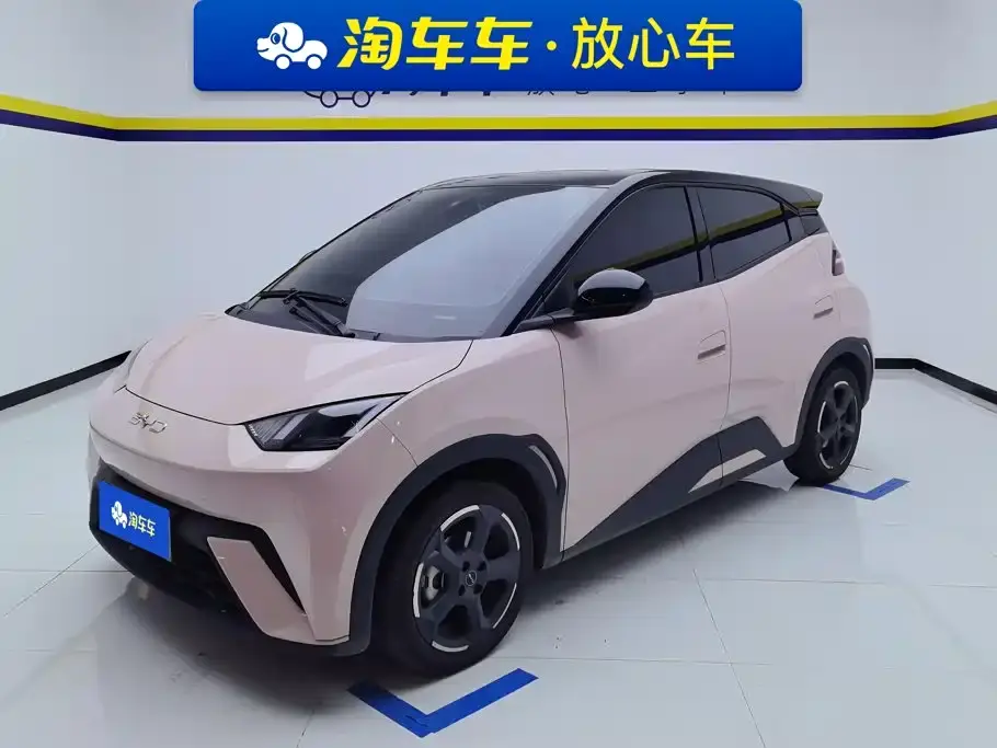 BYD Seagull Glory Edition 405km Soaring Edition 2024