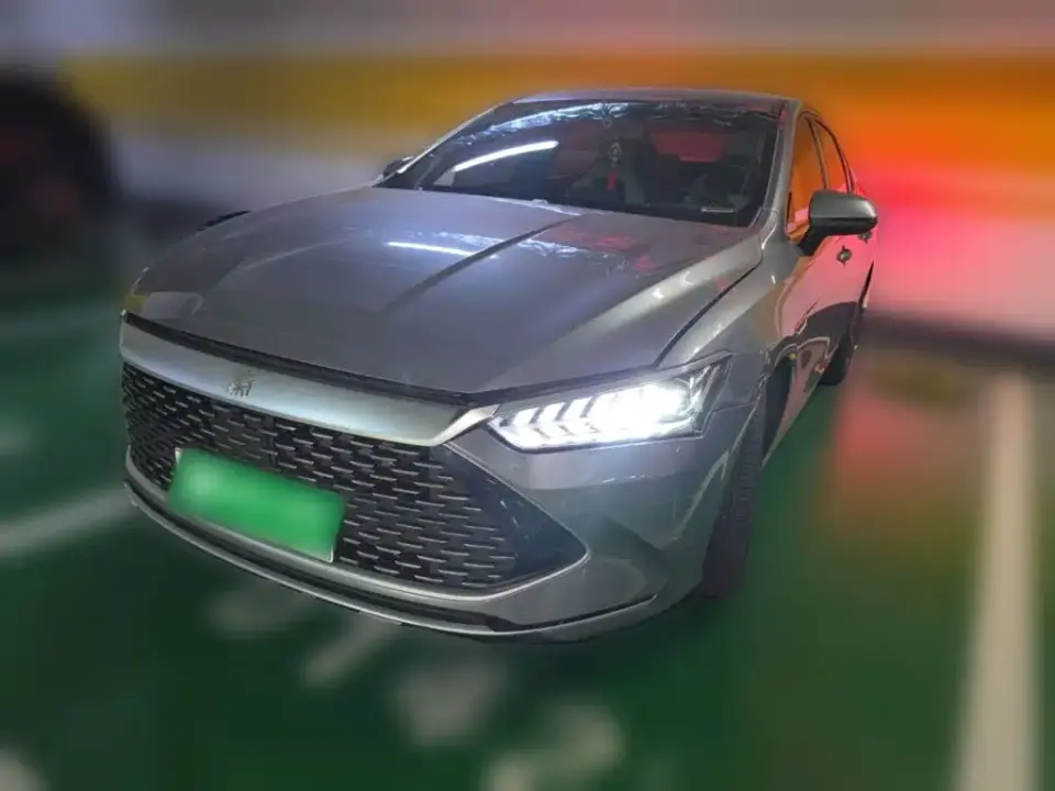 BYD Qin PLUS Champion Edition DM-i 55KM Leading 2023