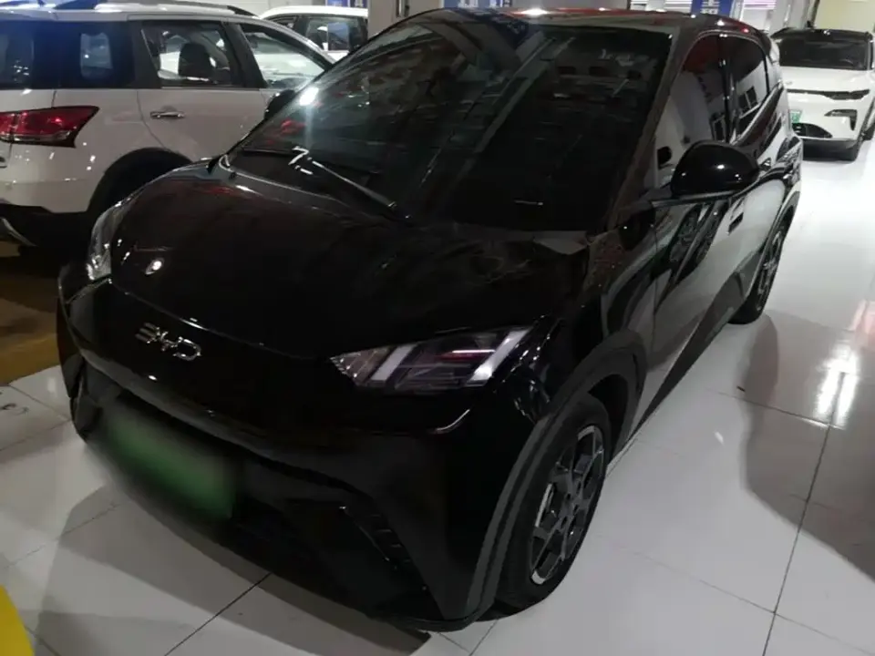 BYD Seagull 405km Soaring 2024