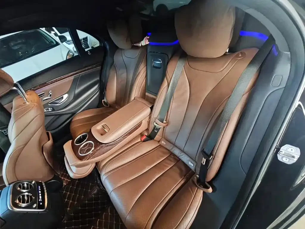 Mercedes-Benz S-Class S 350 L Business Edition Collector's Version 2020 — фото 6