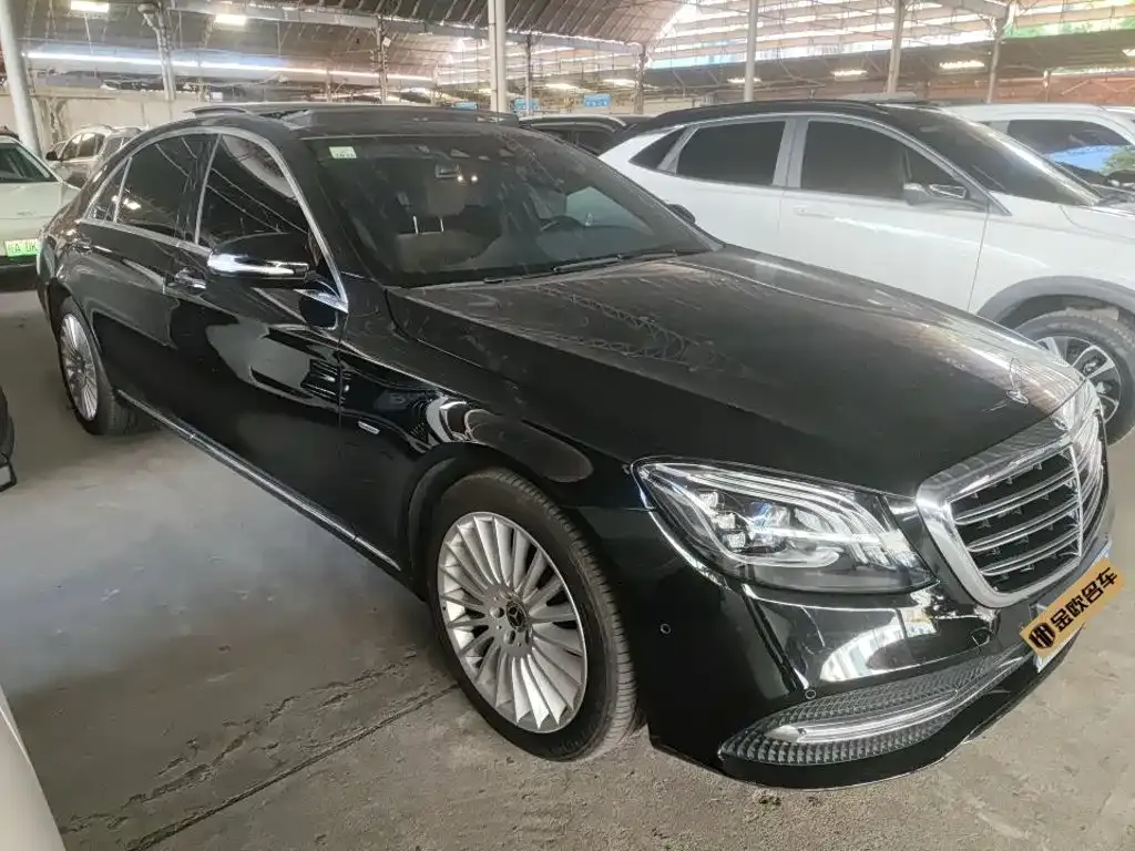 Mercedes-Benz S-Class S 350 L Business Edition Collector's Version 2020 — фото 8