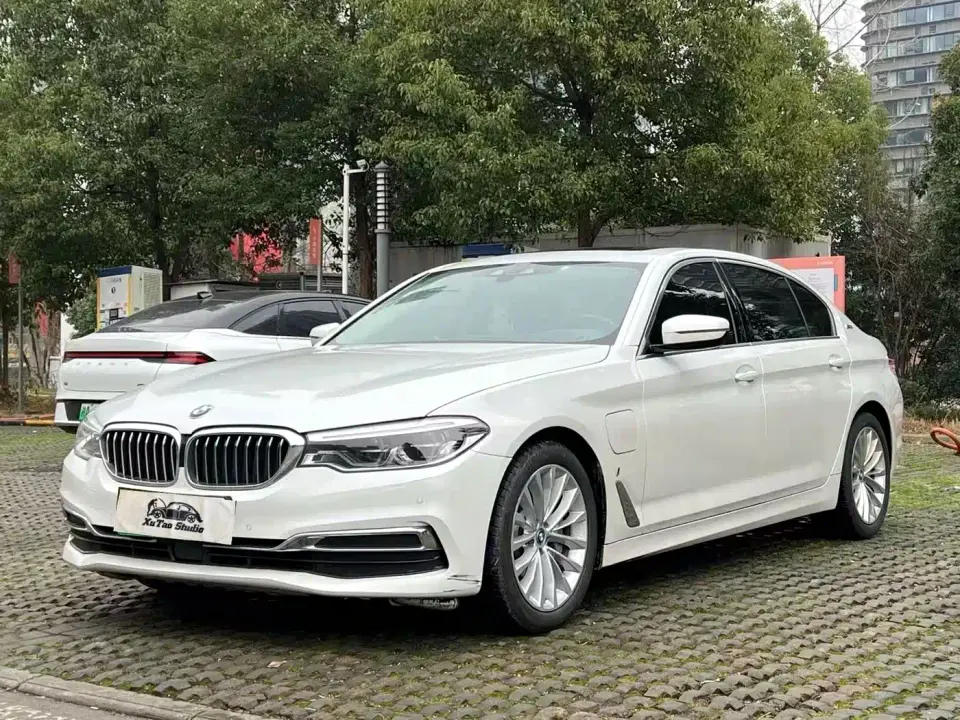 BMW 5 Series New Energy 530Le Pioneer Edition 2019