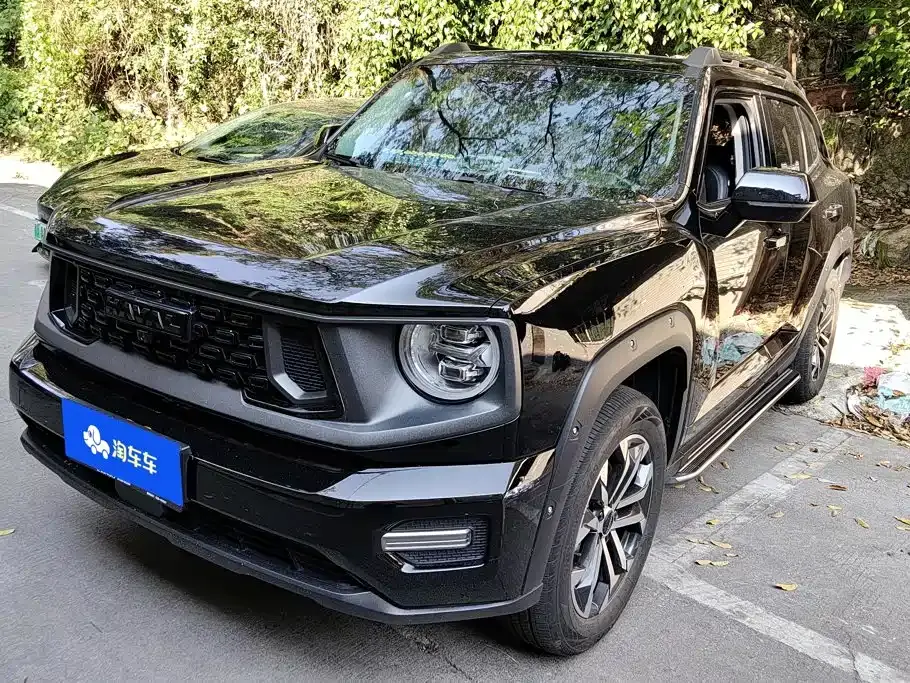 Haval Da Gou 2nd Gen 2.0T 2WD Trendy Off-road Edition 2023
