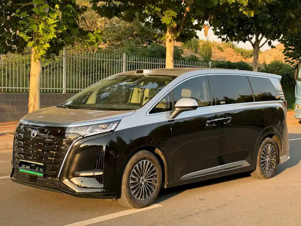 Denza D9 DM-i 970 AWD Flagship 2023