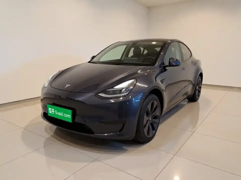 Tesla Model Y Rear-Wheel Drive Version 2024