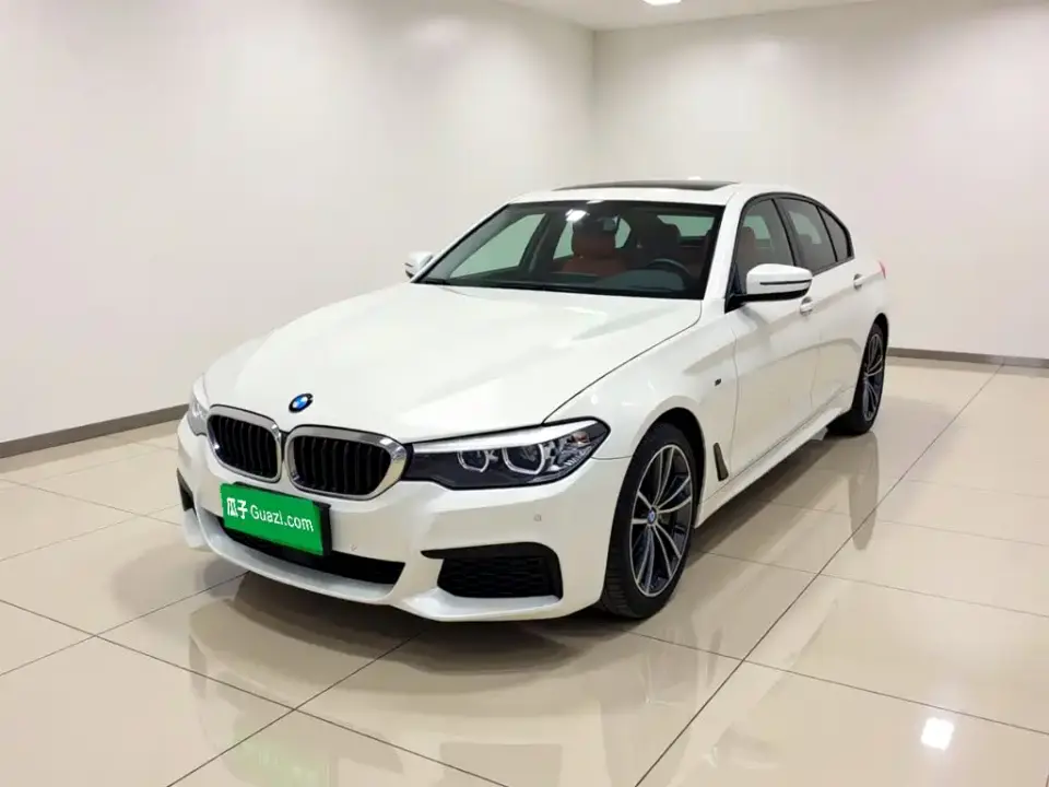 BMW 5 Series Facelift 530Li Leading M Sport Package 2019