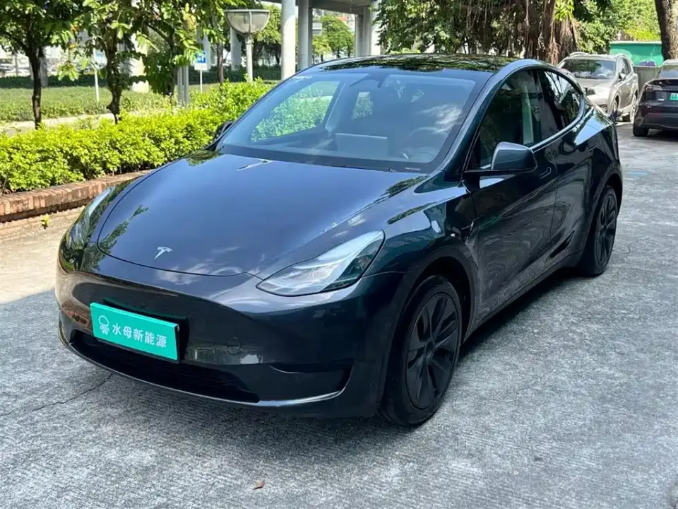 Tesla Model Y Rear-Wheel Drive Version 2024