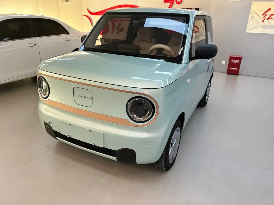 Geely Galaxy Panda Panda mini 200km Endurance Bear 2024