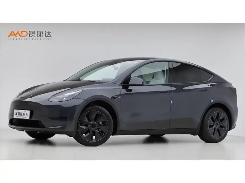 Tesla Model Y Rear-Wheel Drive Version 2024