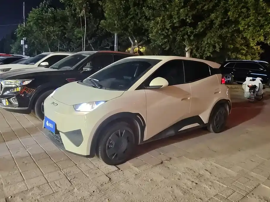 BYD Seagull 305km Vitality 2025