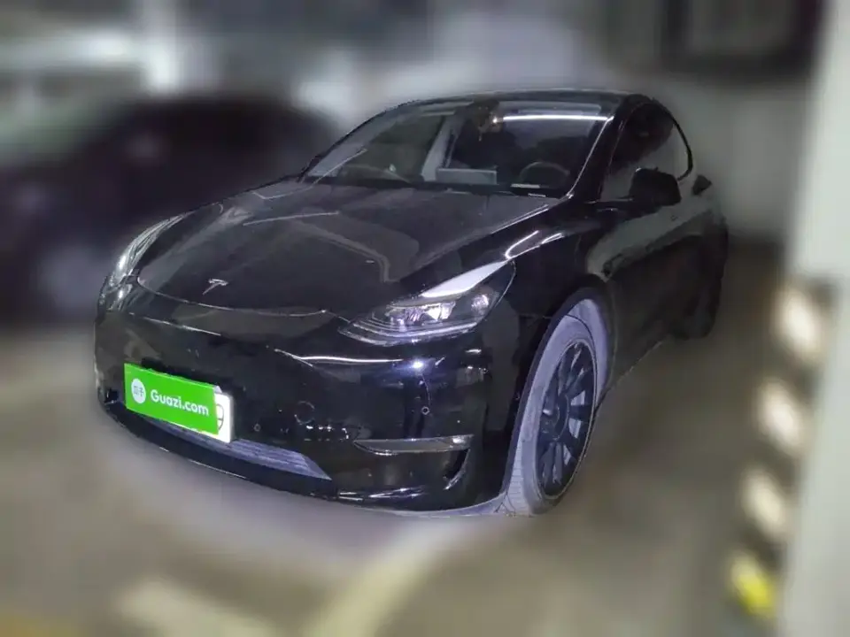 Tesla Model Y Standard Range Rear-Wheel Drive 2021