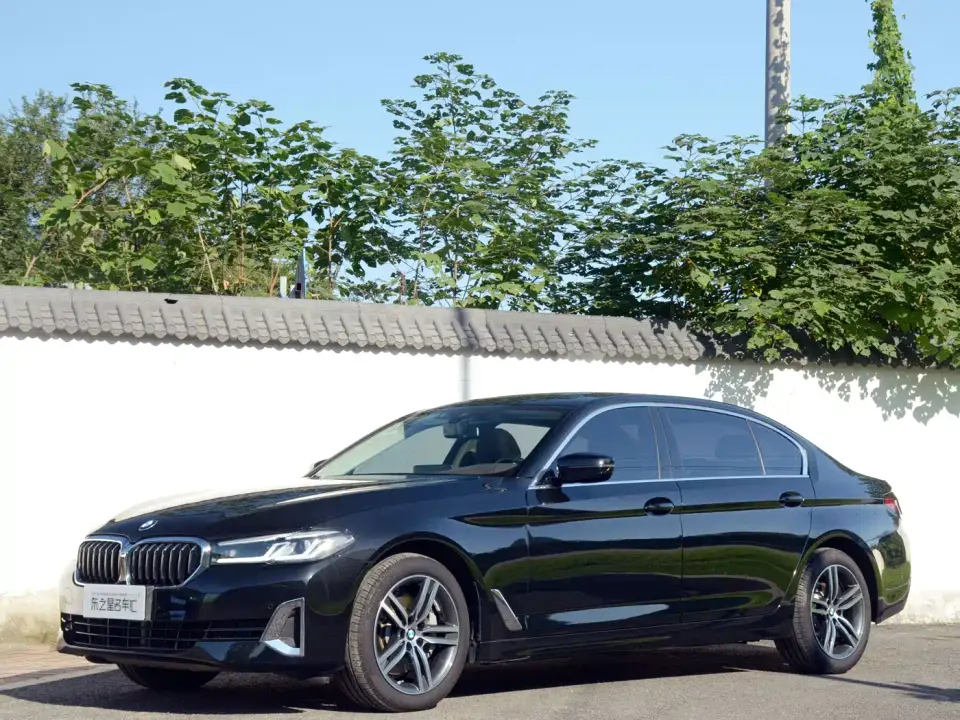 BMW 5 Series 530Li Leading Luxury Package 2020