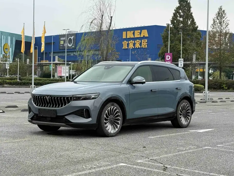 Voyah Auto VOYAH FREE AWD Standard Range Extender Exclusive Luxury Package 2021